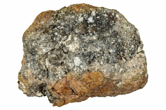 Howardite Meteorite ( g) - Bechar #348289